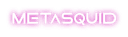 Logotype Metasquid